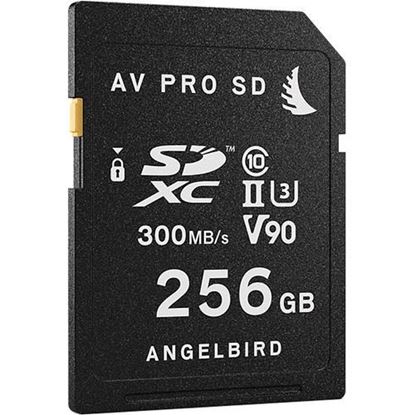 Picture of Angelbird Match Pack for Panasonic GH5/GH5S 256 GB | 2 PACK